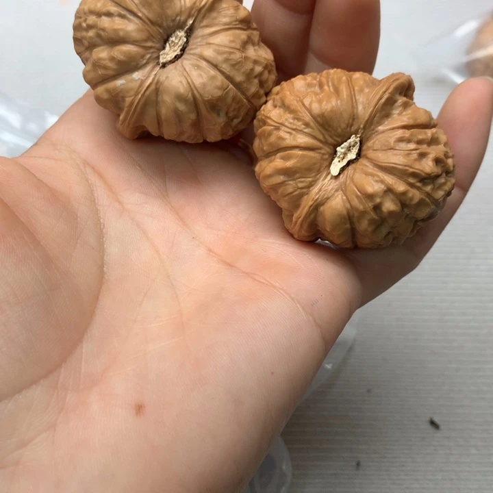 @***风把件文玩核桃南瓜墩