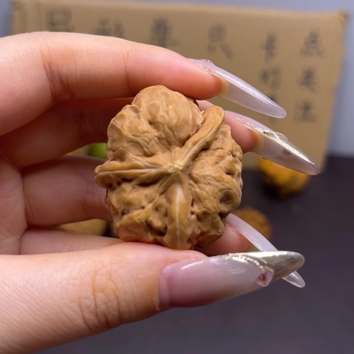 ****人菩提籽类蛤蟆头三棱单只异型有瑕