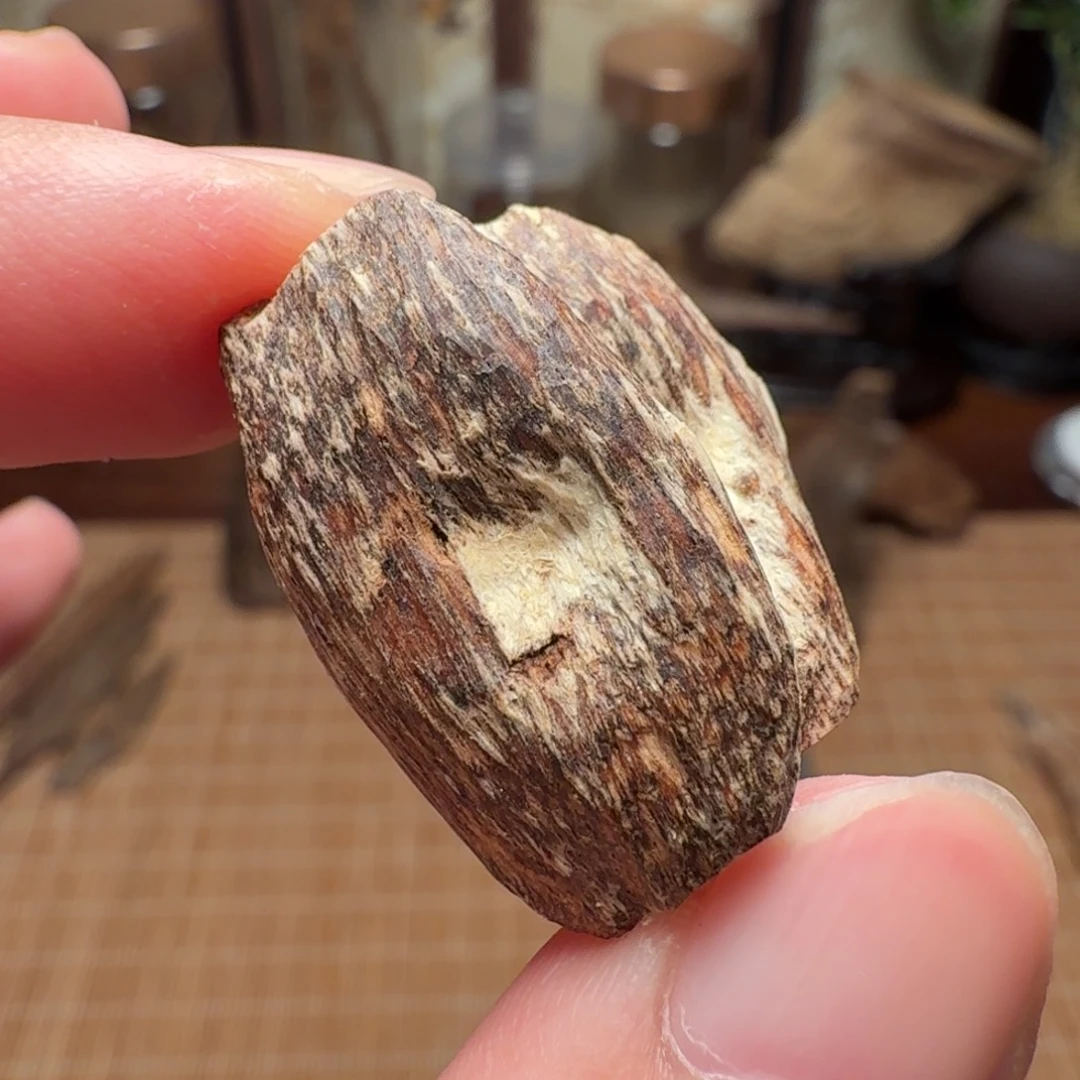 沉香广西博白瓜子