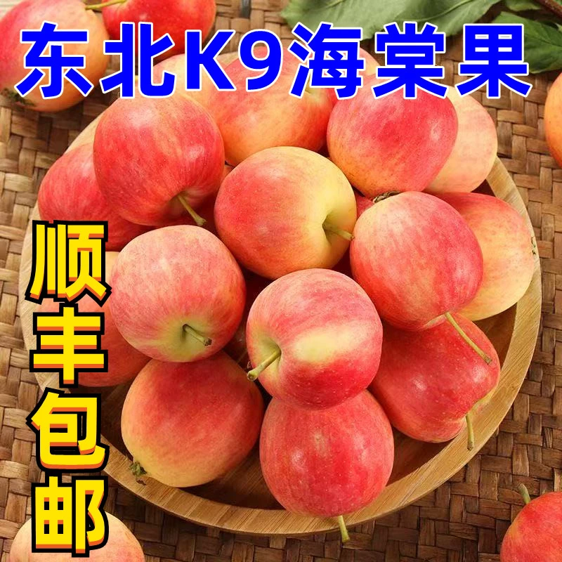 【顺丰发货】正宗东北K9沙果海棠果产地现摘现发孕妇水果