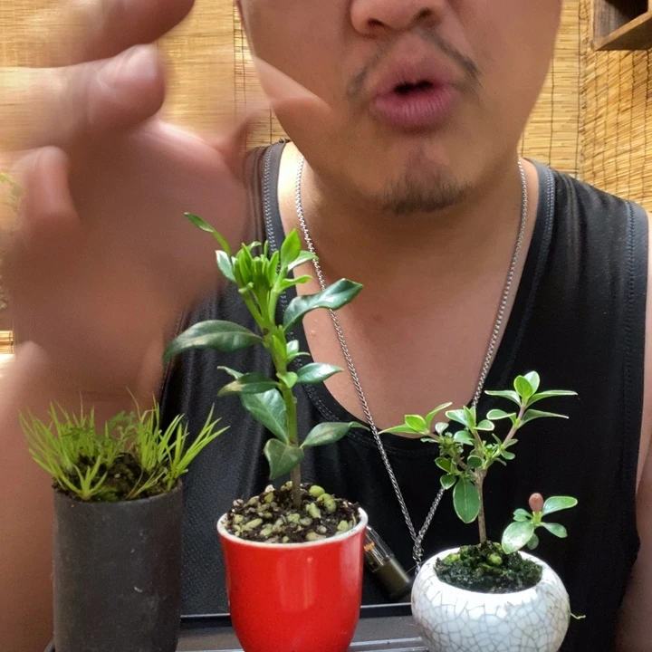 一物一拍所见即所得156