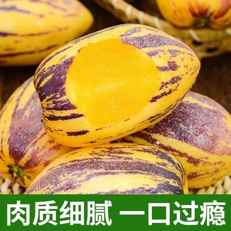 甘肃民勤沙漠人参果新鲜水果包邮低糖多汁带箱5斤200g+大果