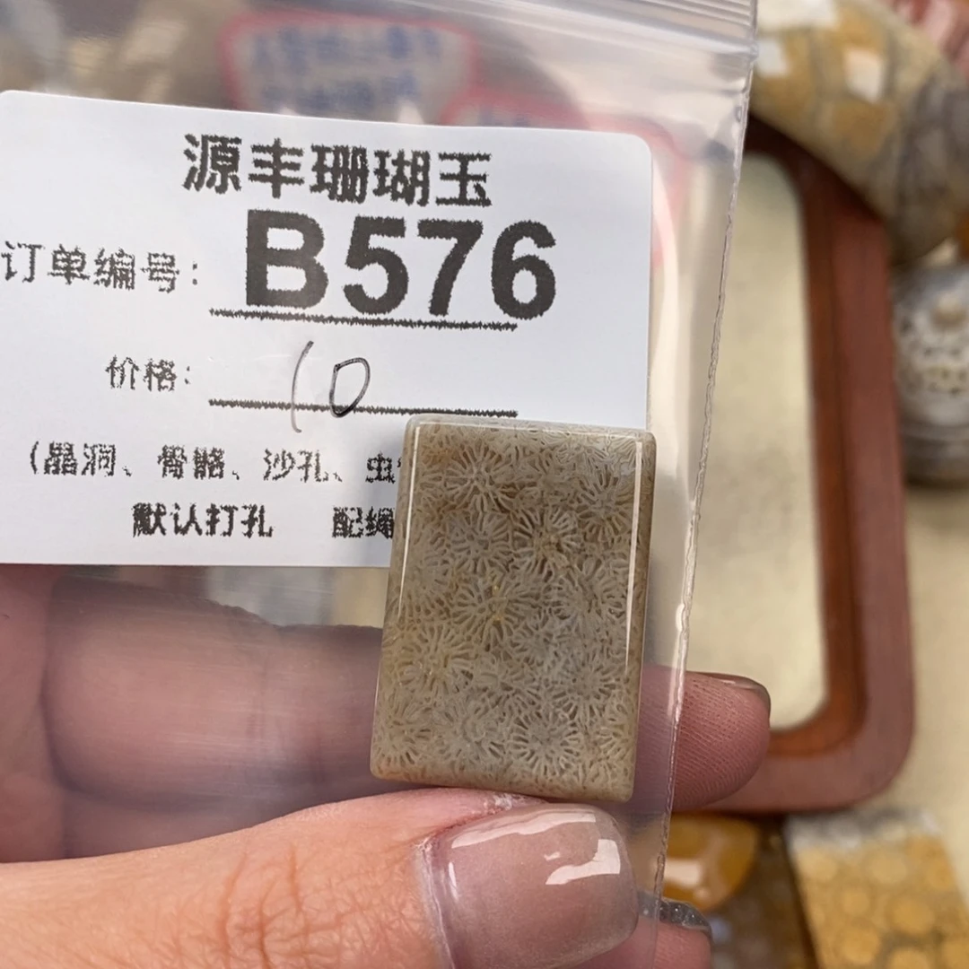 硅化玉颈饰未镶嵌一*川