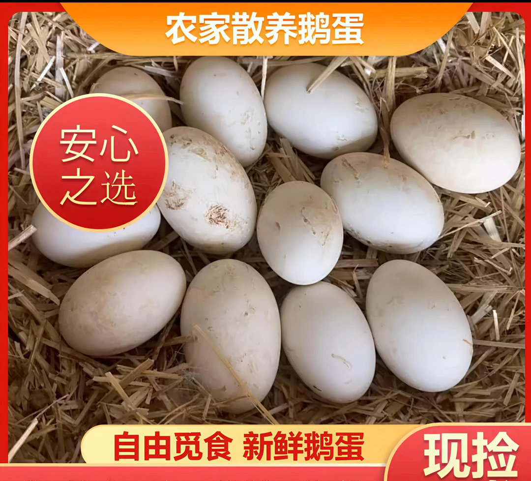 正宗东北农村笨鹅蛋