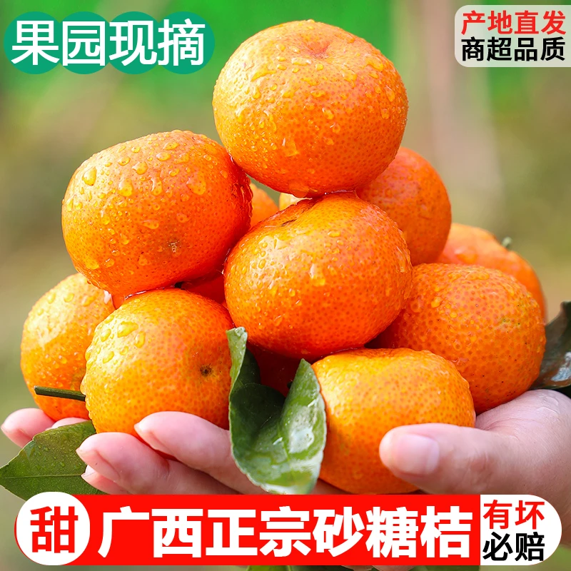广西应季新鲜现摘砂糖橘水果当季整箱橘子包邮沙糖桔柑橘蜜橘桔子