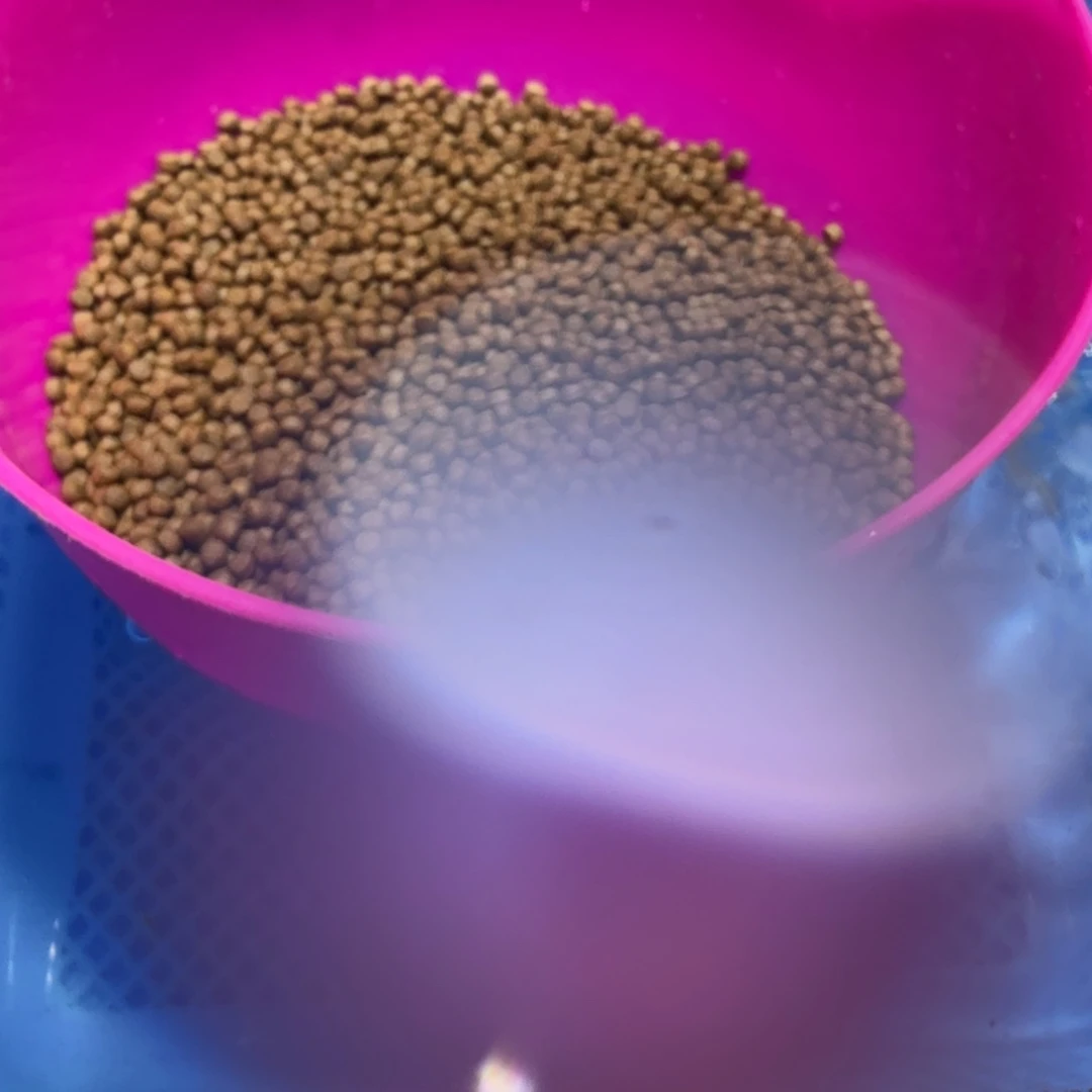 蝴蝶里专用饲料2斤