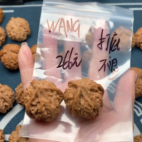 橄榄核手串/手链W***.文山三棱
