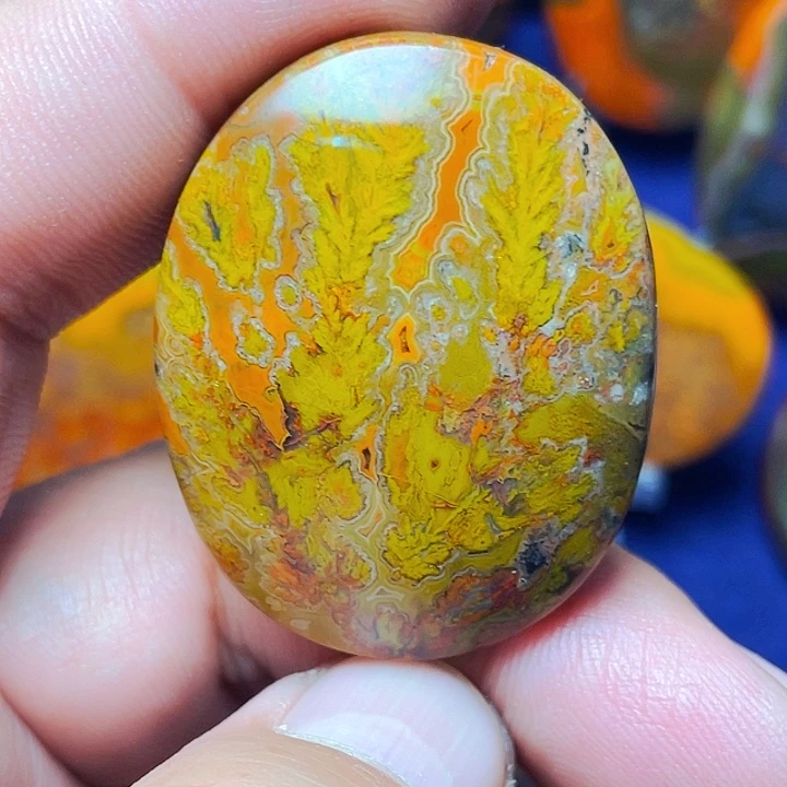 玛瑙/玉髓未镶嵌战国红