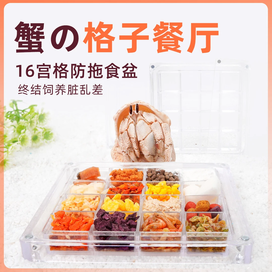 寄居蟹的格子餐厅～防拖食盆分餐带盖食盆稳固寄居蟹水盆食盆