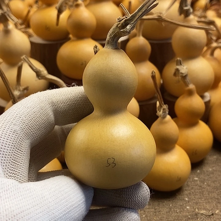 文玩葫芦 完美主义者 慎拍53