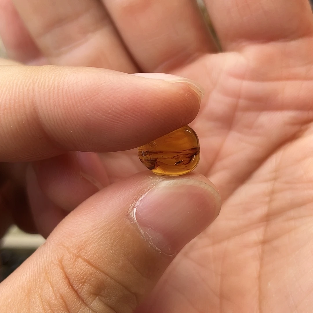 裸石琥珀未镶嵌大