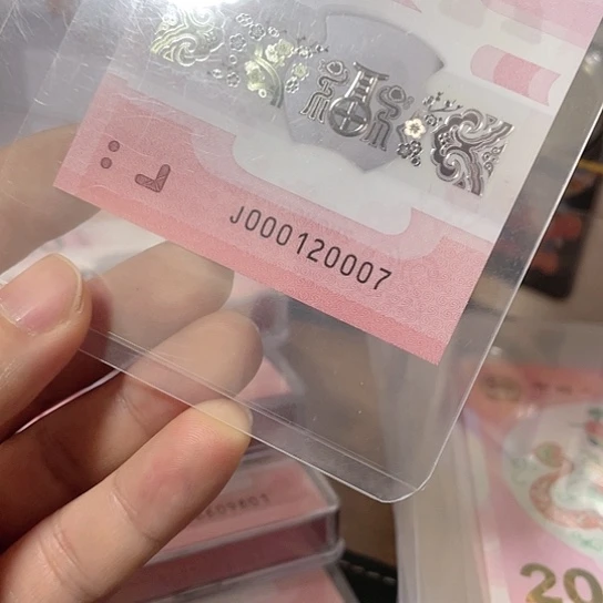 塑料2025年蛇年纪念钞靓号