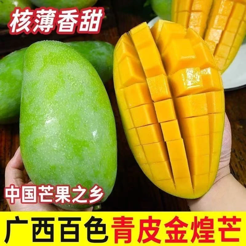 广西百色金煌芒青皮甜心芒果新鲜当季水果鲜甜多汁 果园现摘现发G
