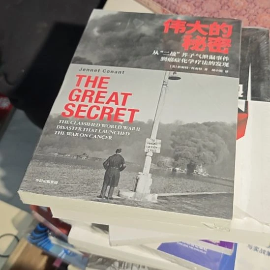 伟大的秘密平装库存书