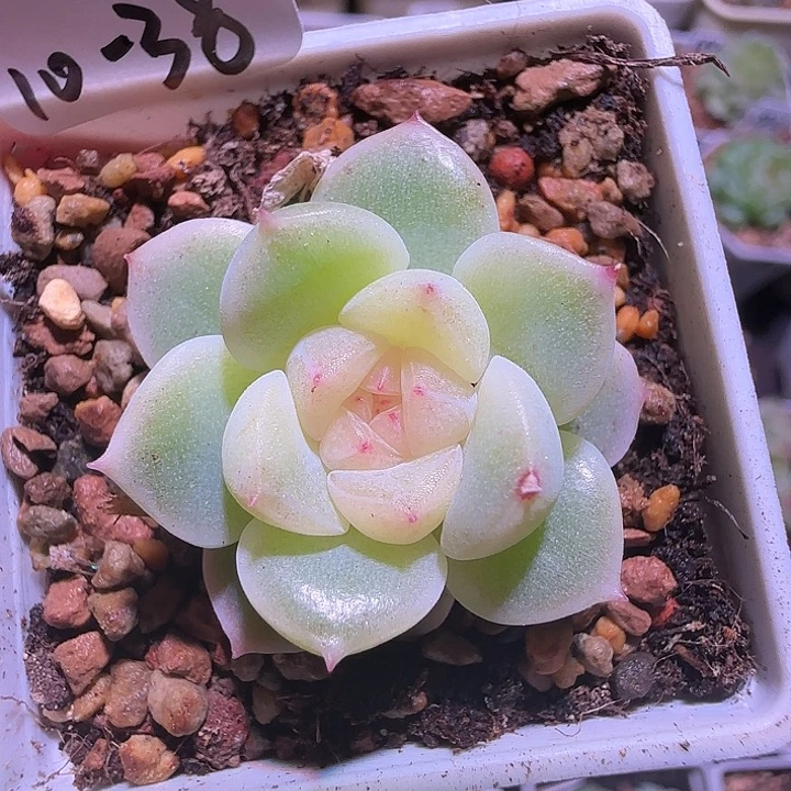 10-38福利暮暮财富密码