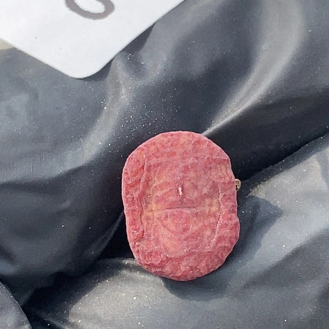 0918-11-杂交有伤特。