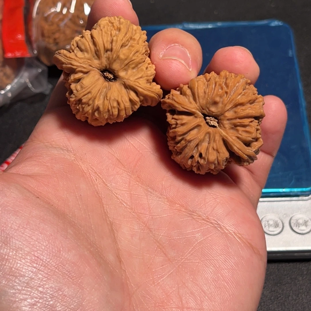 37全品双色球涿鹿蚂蚁拉丝南疆