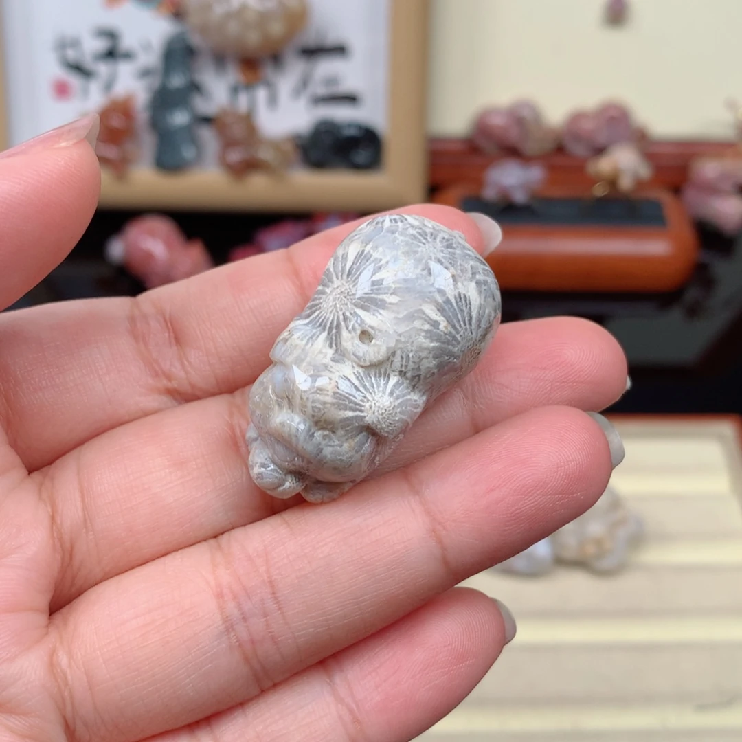 硅化玉珊瑚玉未镶嵌