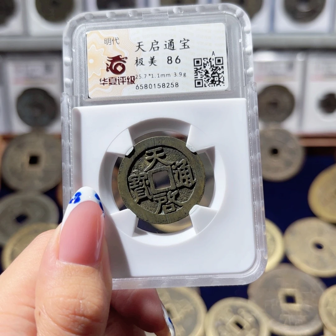铜天启通宝。8258。215。Ｌ
