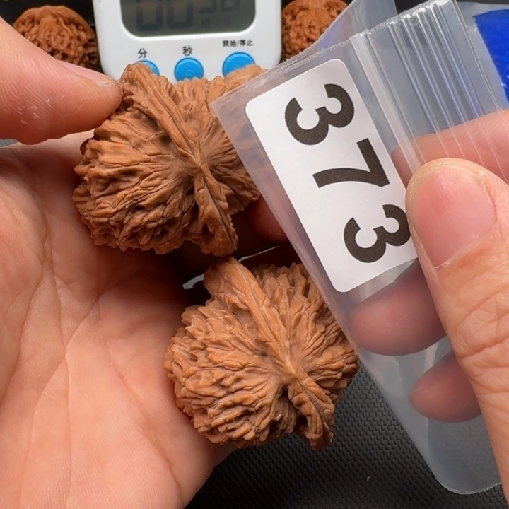 文玩核桃把件失*兔楼子46