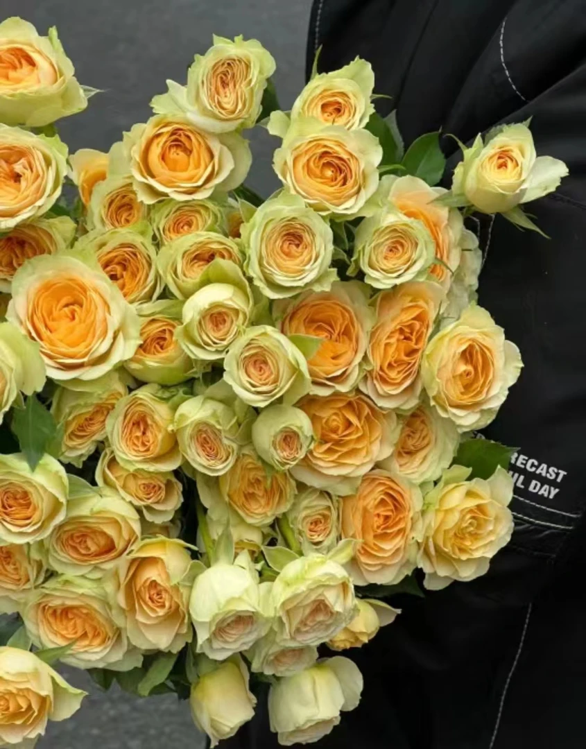 鲜花【多头牛油果玫瑰】同地址两单顺丰或京东送货上门