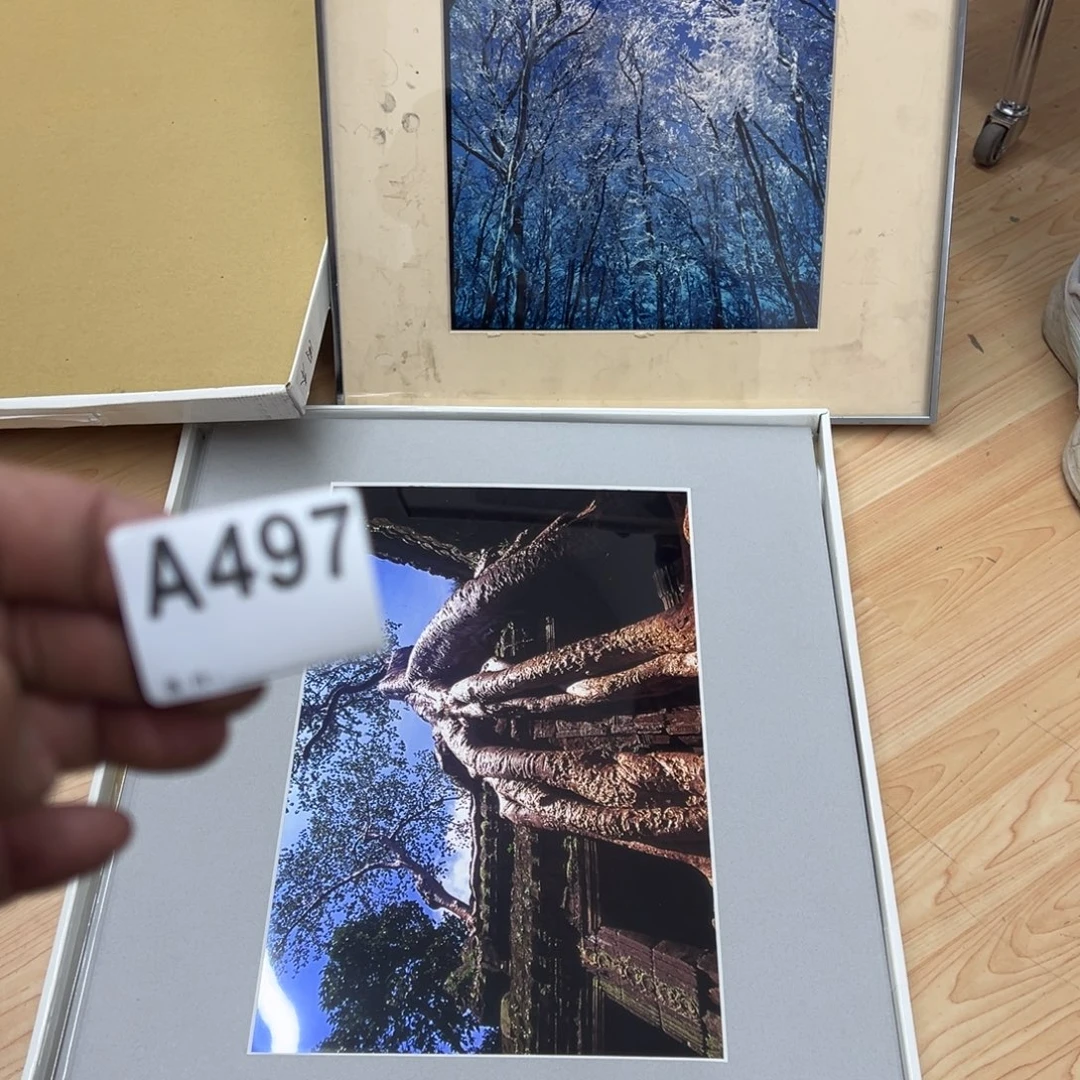 杨***胜剪纸艺术497不退不换