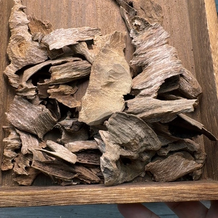 海南临高吊齿5克。