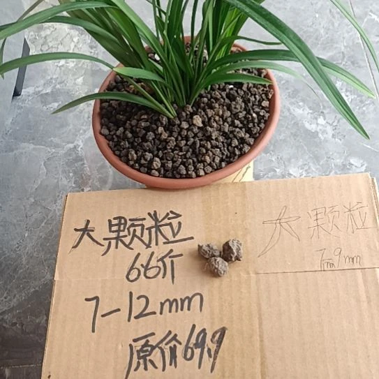 帅***哥兰菌黑山土大颗粒6.6斤