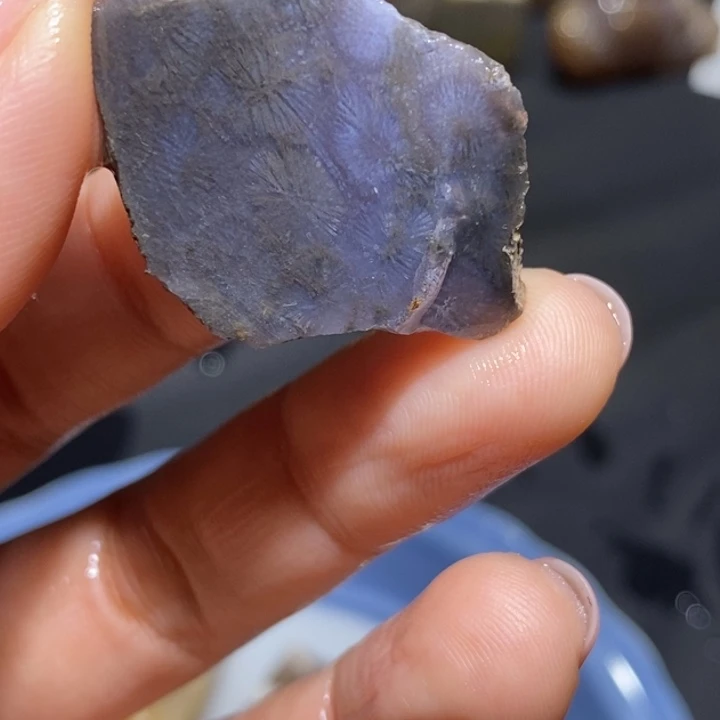 【闪购商品】未镶嵌珊瑚玉硅化玉