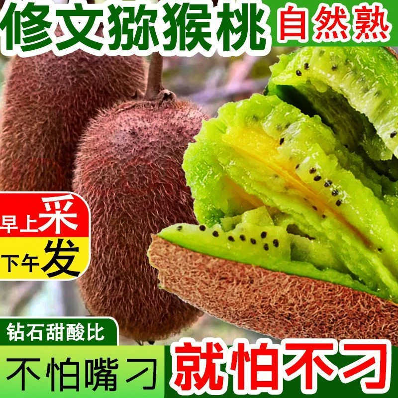 贵州修文贵长猕猴桃当季新鲜水果酸甜爽口当季新鲜自然成熟奇异果