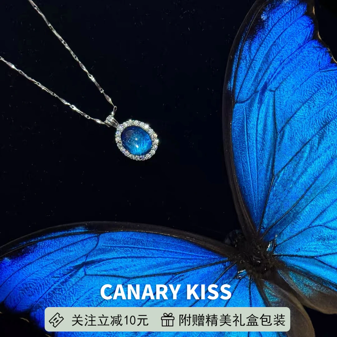 链子925银 蝶翼蝴蝶翅膀项链女2025新款精致气质轻奢高级感锁骨链