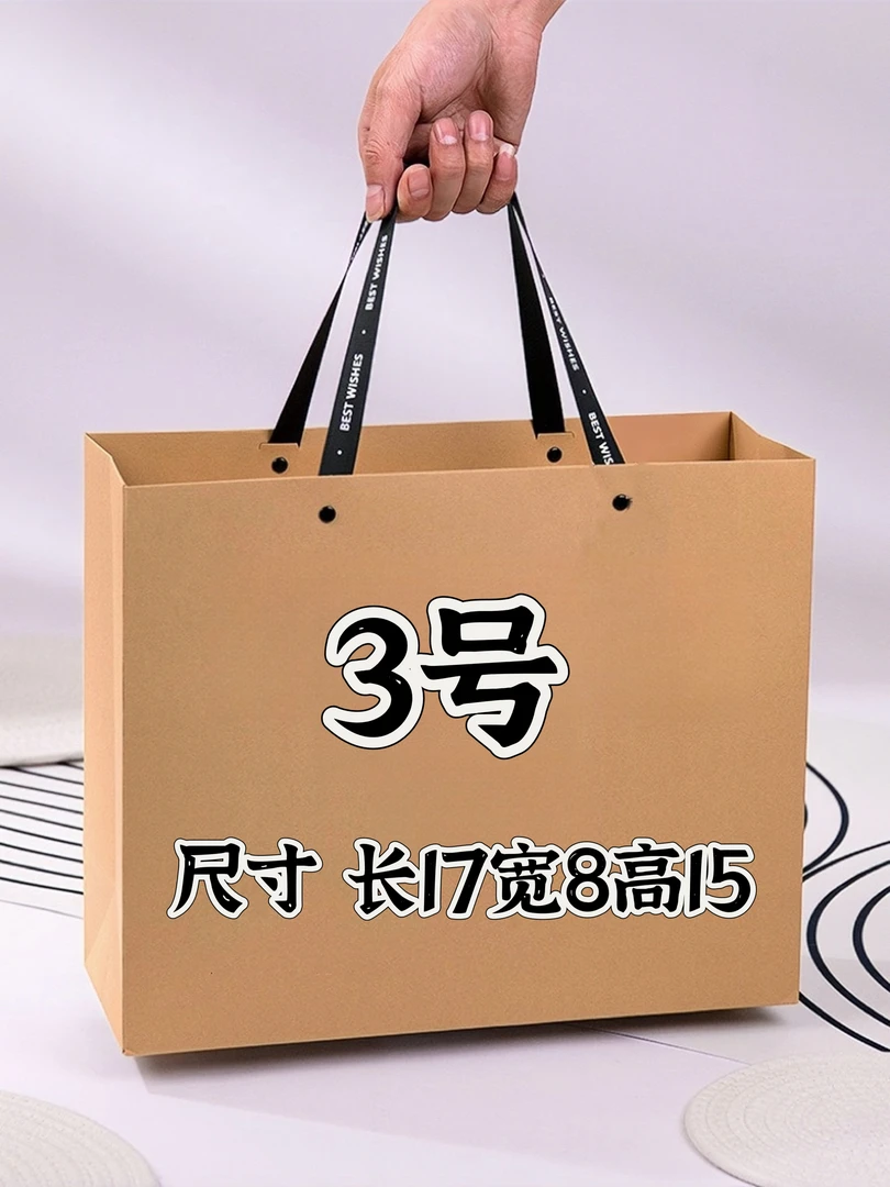 【3号】轻奢百搭时尚潮流手提包 8119