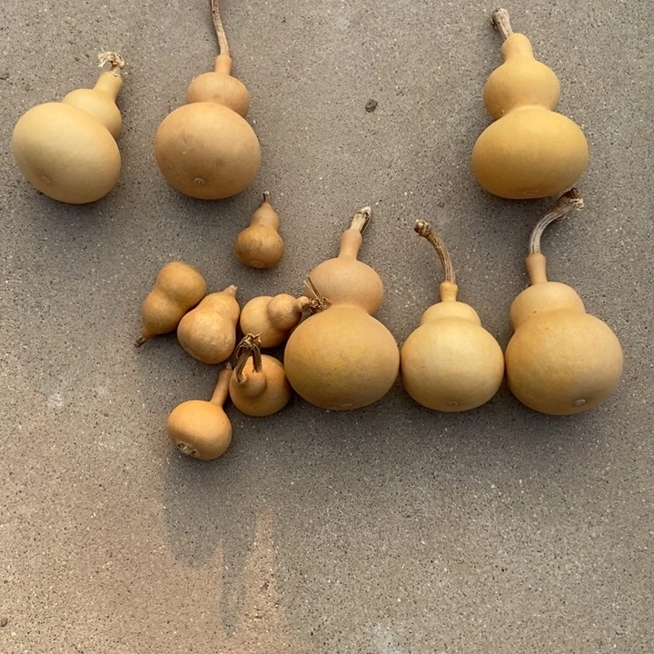 葫芦葫芦一堆包邮