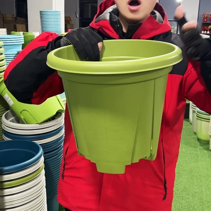 清仓青山口32高28果绿色5只无托