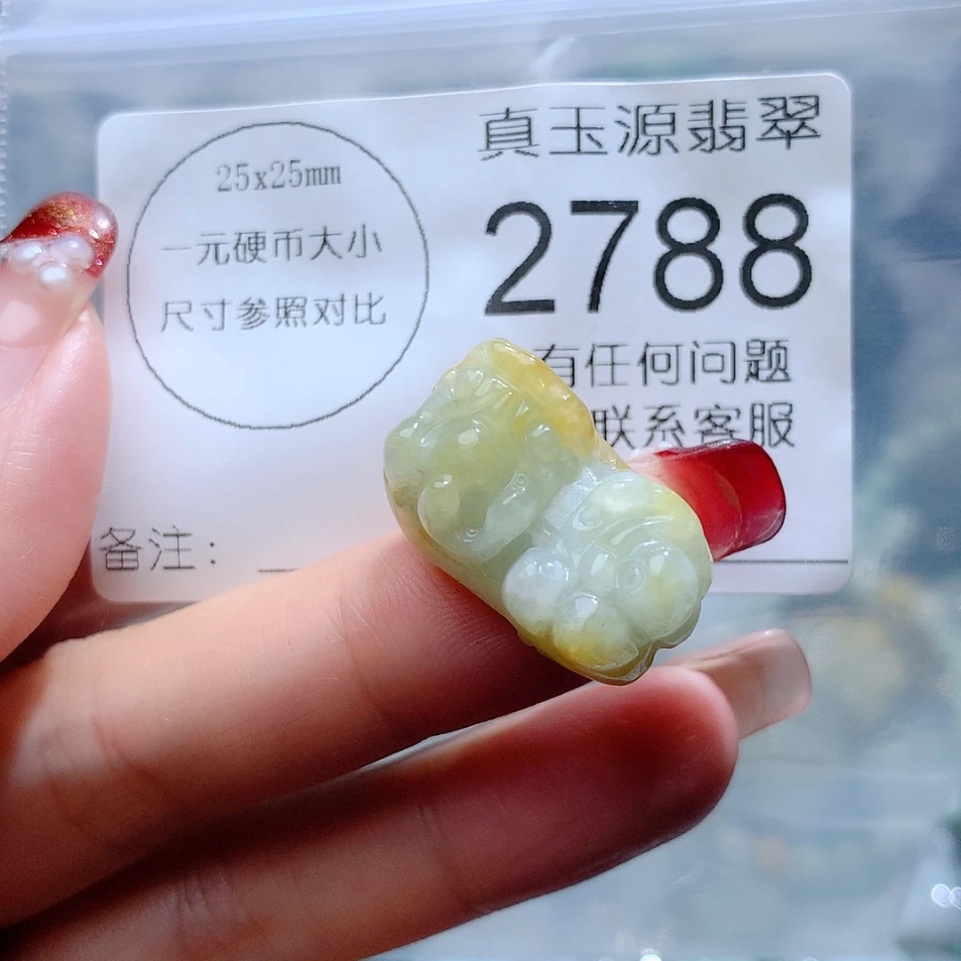 翡翠颈饰未镶嵌2788。