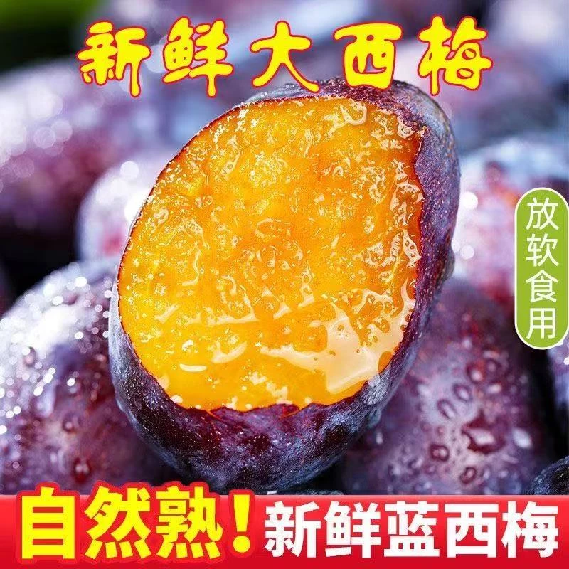 新鲜现摘大西梅鲜果正宗西梅西梅酸甜可口K