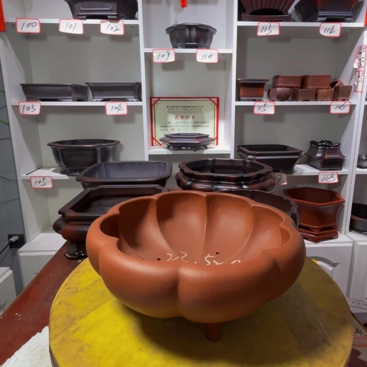 好***情紫砂花盆111111111111111111