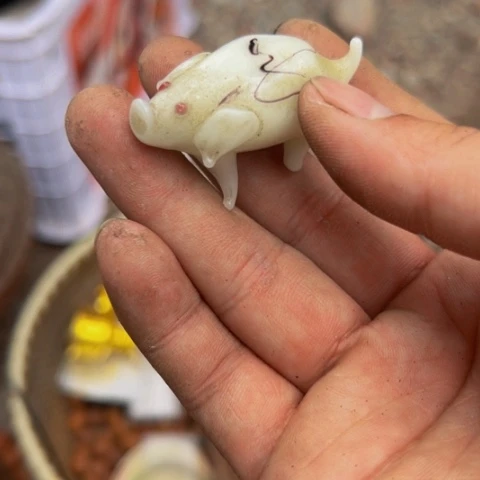 杂色豆（科檀/科特迪瓦檀木）7**7