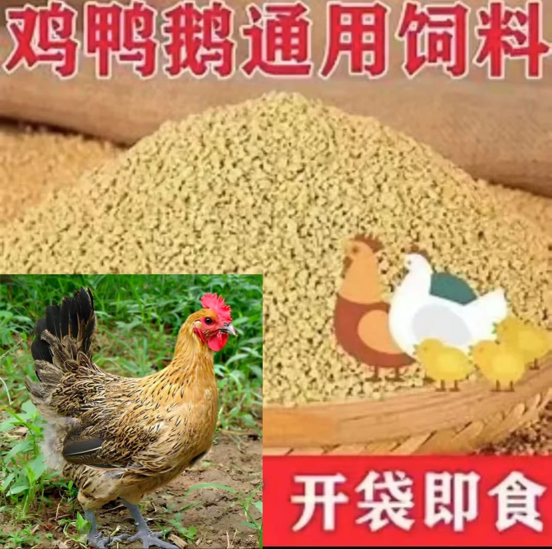 喂养营养均衡好饲料