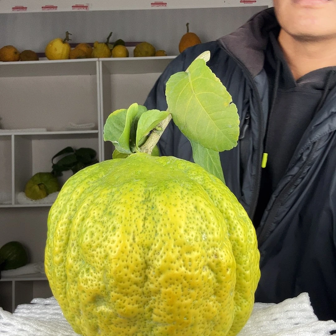 用***2香水柠檬云南高山大香橼