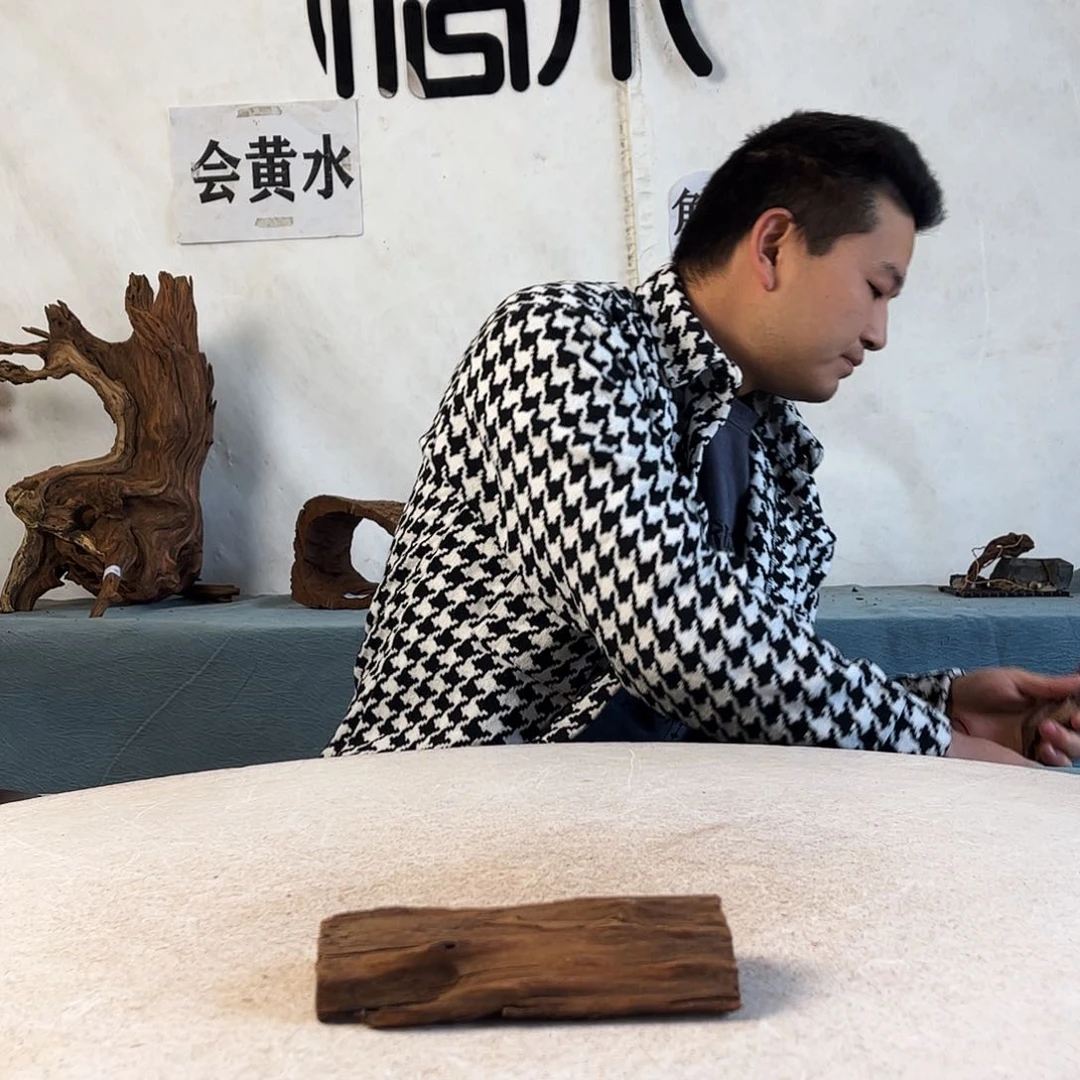 周末福利沉木造景爬宠造景