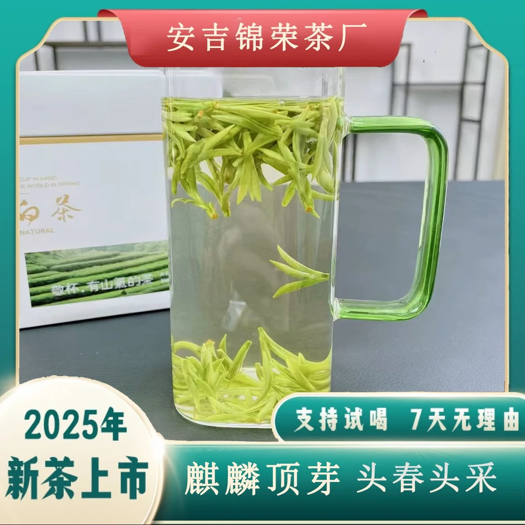 【 麒麟顶芽 A88 开园头采】2025新茶 安吉高山特产白茶