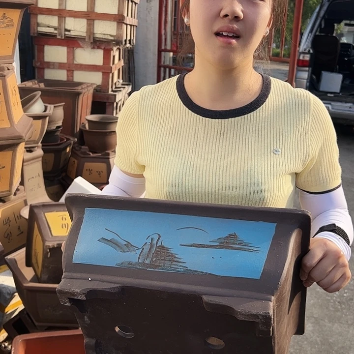 40蓝马槽花盆花盆花盆