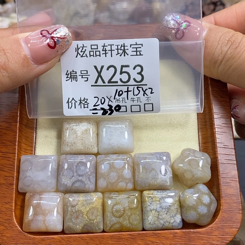 【闪购商品】硅化珊瑚（珊瑚玉）颈饰未镶嵌晨*k 253