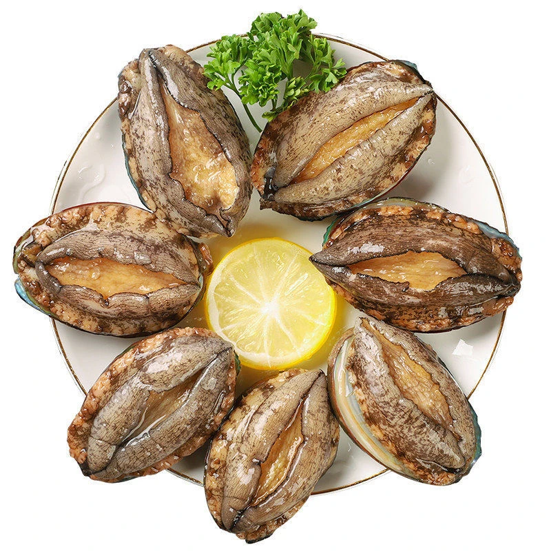 鲍鱼（鲜活鲍鱼10只装1斤左右）