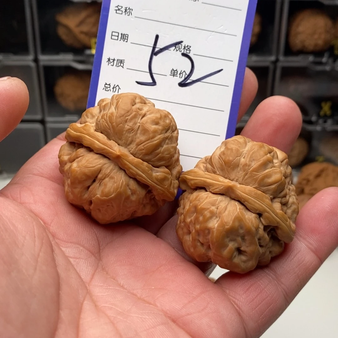 狒**子42三角金蟾一对来了