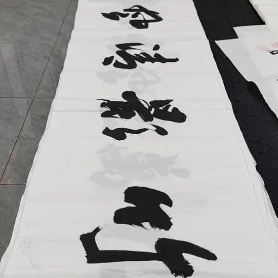 翰墨申国栋老师作品一副