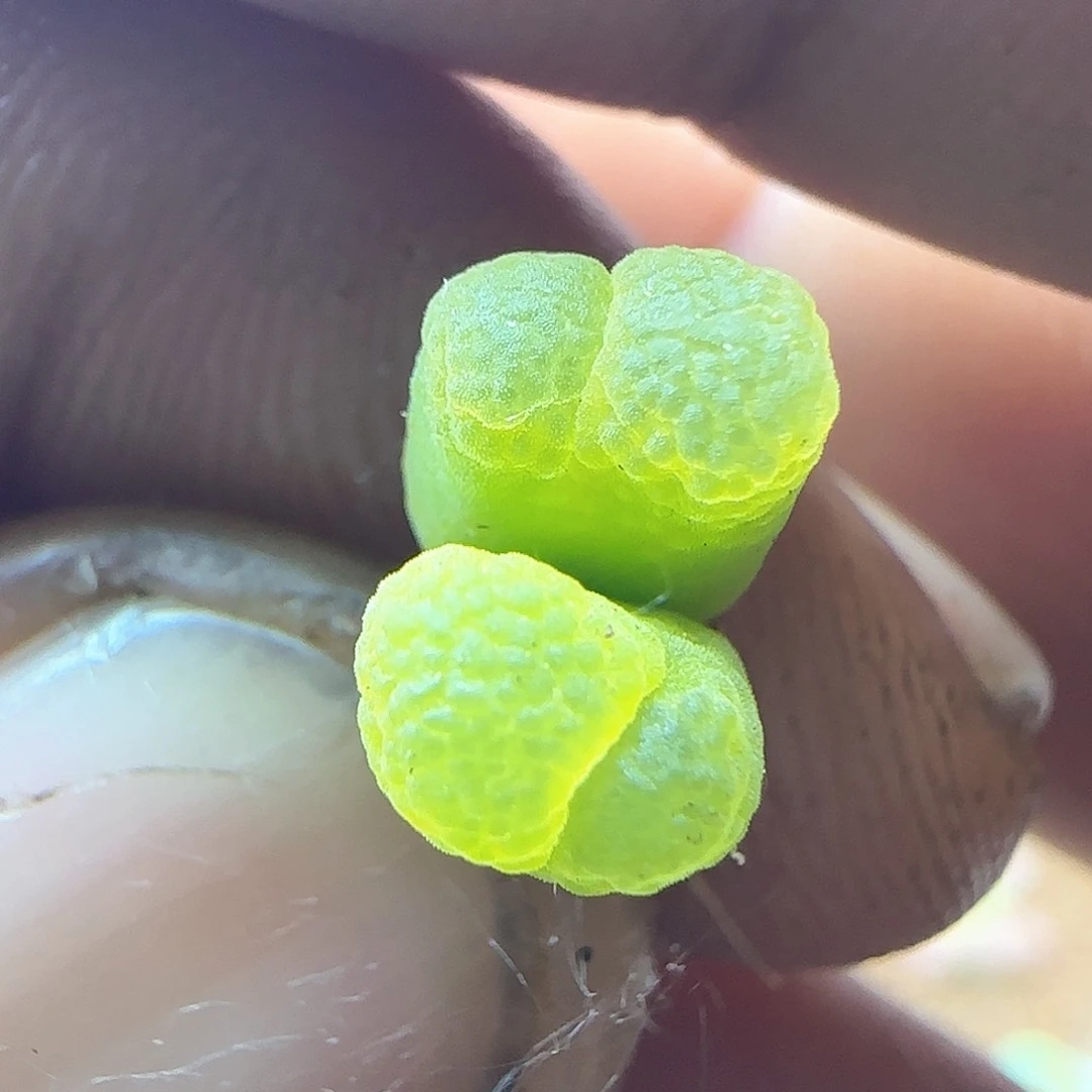 安*哈哈哈哈哈37315