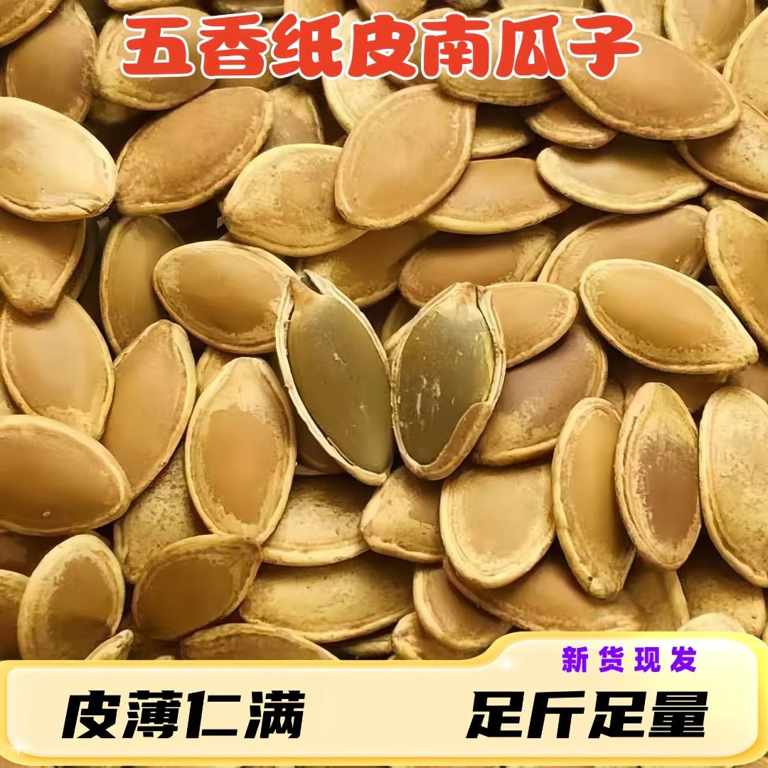 正宗五香味纸皮南瓜子中大颗粒内蒙古产网红爆款厂家直销新货批发