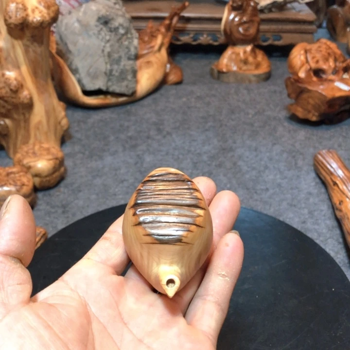 柏木（崖柏）策**腾崖柏22